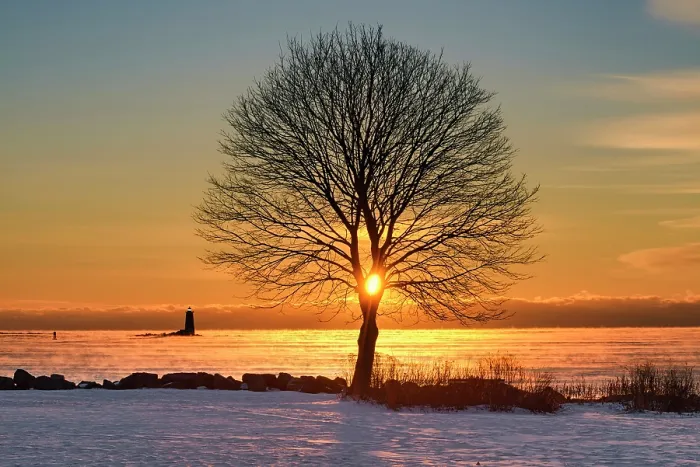 Framed Print : Winter sun rising through tree on coast, Great Island Common, New Castle, New Hampshire, USA Framed Print : Winter sun rising through tree on coast, Great Island Common, New Castle, New Hampshire, USA