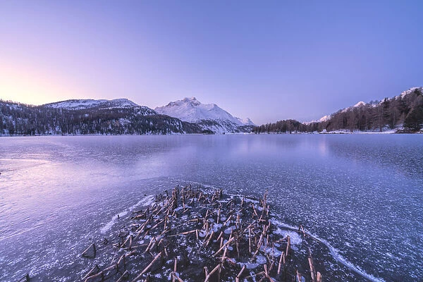 Winter sunrise over the snow capped Piz Da La Margna and frozen Lake Sils, Graubunden