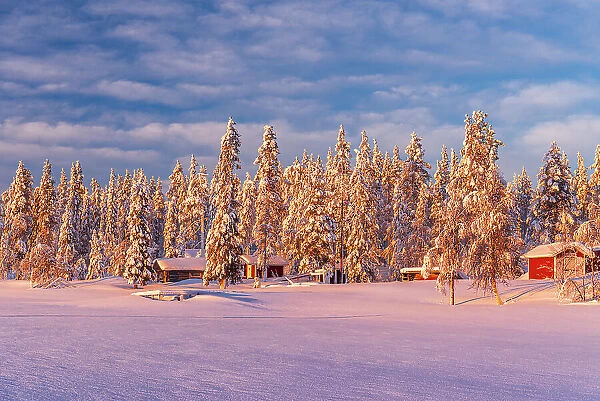 Winter view of wooden huts among trees in the snowy forest at sunrise, Kangos, Norrbotten, Lapland, Sweden