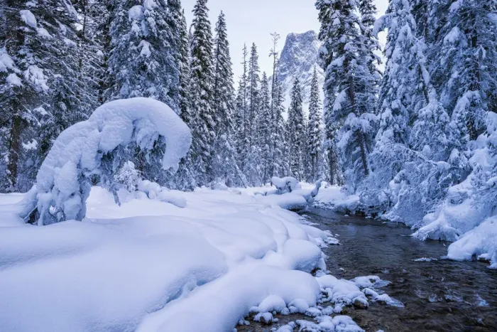Framed Print : Winter Wonderland along Emerald River, Yoho National Park, British Columbia, Canada Framed Print : Winter Wonderland along Emerald River, Yoho National Park, British Columbia, Canada