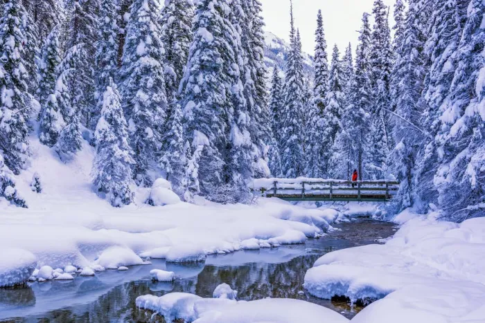 Framed Print : Winter Wonderland, Yoho National Park, British Columbia, Canada Framed Print : Winter Wonderland, Yoho National Park, British Columbia, Canada