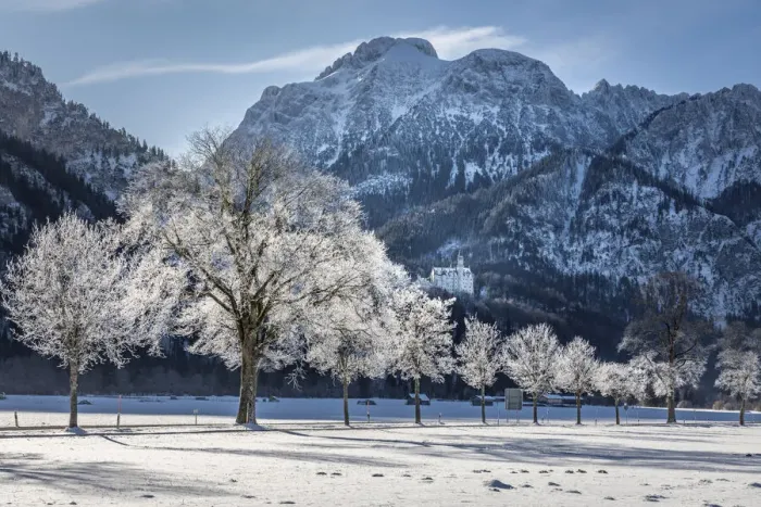 Framed Print : Wintry avenue with Neuschwanstein Castle, Schwangau, Allgaau, Bavaria, Germany Framed Print : Wintry avenue with Neuschwanstein Castle, Schwangau, Allgaau, Bavaria, Germany