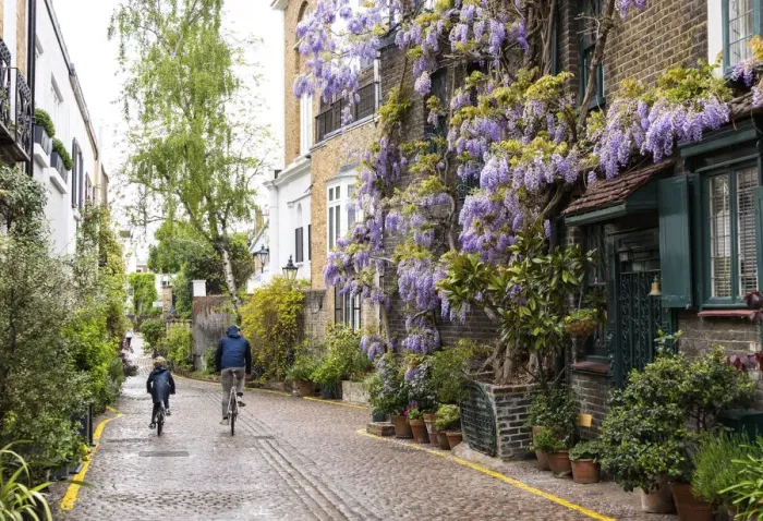 Framed Print : Wisteria in Kynance Mews, Kensington, London, England Framed Print : Wisteria in Kynance Mews, Kensington, London, England