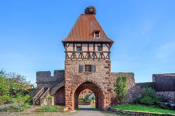Witches tower at Chatenois, Selestat, Bas-Rhin, Alsace, Alsace-Champagne-Ardenne-Lorraine, Grand Est, France
