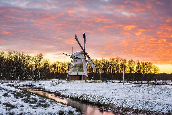 Witte Molen (White Mill) Dutch windmill in winter at sunset, Harn, Groningen, North