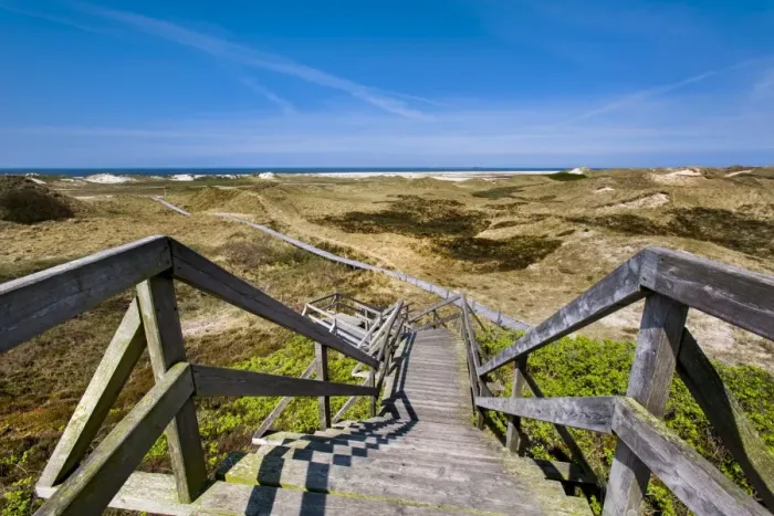 Framed Print : Wodden path in the dunes, Amrum Island, Northern Frisia, Schleswig-Holstein, Germany Framed Print : Wodden path in the dunes, Amrum Island, Northern Frisia, Schleswig-Holstein, Germany