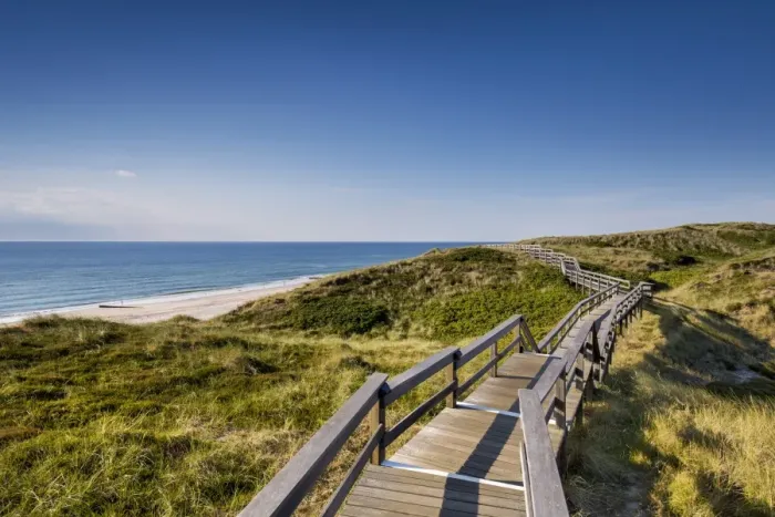 Framed Print : Wodden path in the dunes, Wenningstedt, Sylt Island, Northern Frisia, Schleswig-Holstein Framed Print : Wodden path in the dunes, Wenningstedt, Sylt Island, Northern Frisia, Schleswig-Holstein