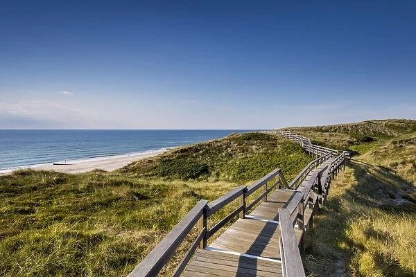 Wodden path in the dunes, Wenningstedt, Sylt Island, Northern Frisia, Schleswig-Holstein