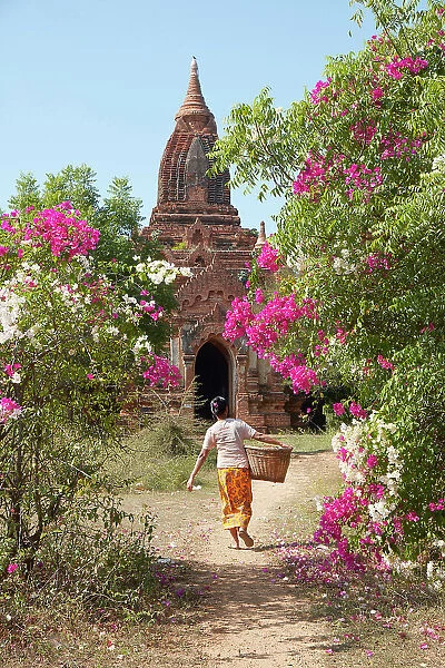A woman with a basket in front of an ancient Buddhist temple of the Bagan Valley, Old Bagan, Mandalay Region, Myanmar. Bagan was declared a UNESCO World Heritage Site in 2019