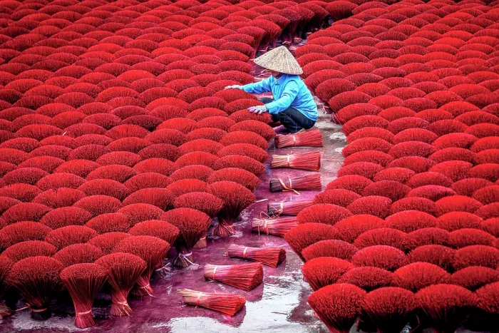 Framed Print : Woman with conical hat handling red incense sticks for drying, Hanoi, Vietnam. (MR) Framed Print : Woman with conical hat handling red incense sticks for drying, Hanoi, Vietnam. (MR)