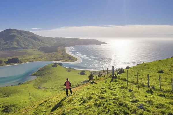 A woman enjoying the view of Hoopers inglet and the coastline near Dunedin in the Otago
