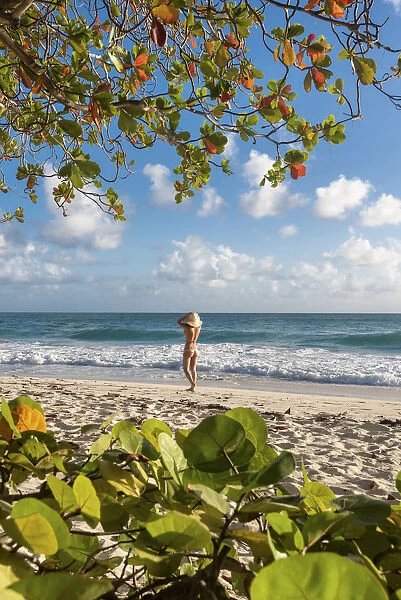 Woman with hat walks on waterfront of Miami Beach, Barbados Island, Lesser Antilles