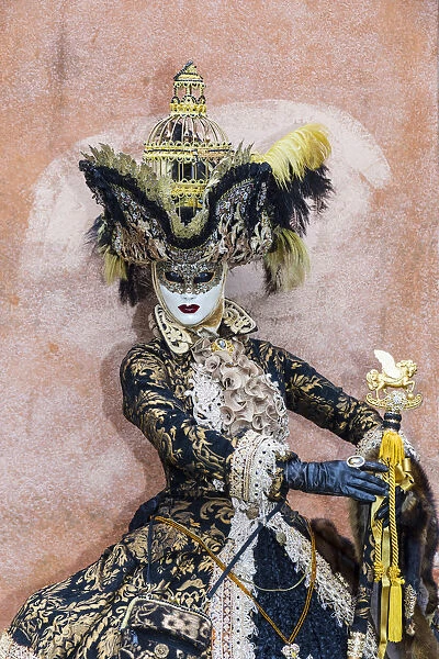 A woman in a magnificent costume at the Venice Carnival, Venice, Italy