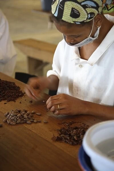 A woman peels the skins away from cocoa beans