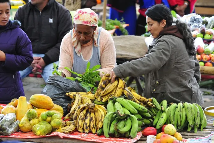Framed Print : Woman selling banana at a Indian market in Silvia, Guambiano Indians, Colombia, South Framed Print : Woman selling banana at a Indian market in Silvia, Guambiano Indians, Colombia, South