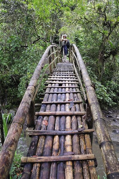 Woman standing on bamboo bridge, Terradentro, Colombia, South America
