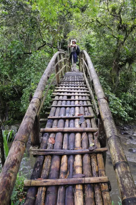 Framed Print : Woman standing on bamboo bridge, Terradentro, Colombia, South America Framed Print : Woman standing on bamboo bridge, Terradentro, Colombia, South America