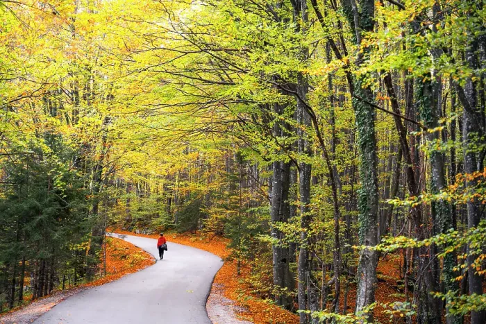 Framed Print : Woman walking at Plitvice Lakes, Croatia. (MR) Framed Print : Woman walking at Plitvice Lakes, Croatia. (MR)