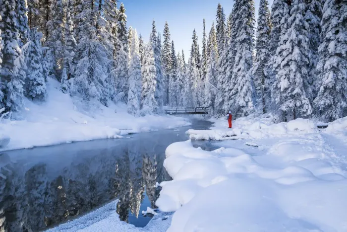 Framed Print : Woman in Winter Landscape, Emerald Lake, Yoho National Park, British Columbia, Canada Framed Print : Woman in Winter Landscape, Emerald Lake, Yoho National Park, British Columbia, Canada
