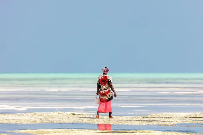 Framed Print : Women collecting shellfish, Jambiani, Zanzibar, Tanzania Framed Print : Women collecting shellfish, Jambiani, Zanzibar, Tanzania