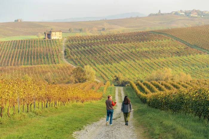 Framed Print : Two women stroll through vineyards in autumn. Colli Piacentini, Piedmont, Italy Framed Print : Two women stroll through vineyards in autumn. Colli Piacentini, Piedmont, Italy