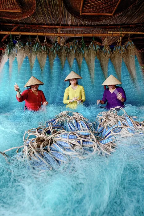 Framed Print : Women in a traditional ao dai repairing a blue fishing net, Vietnam. (MR) Framed Print : Women in a traditional ao dai repairing a blue fishing net, Vietnam. (MR)