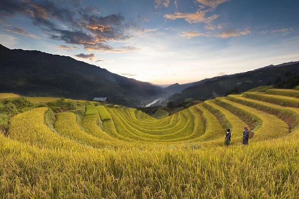 Two women walk though fields of rice terraces at sunset, Mu Cang Chai Yen Bai Province
