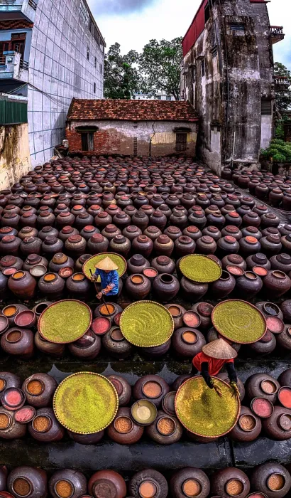 Framed Print : Women working on traditional soy sauce production, Hanoi, Vietnam. (MR) Framed Print : Women working on traditional soy sauce production, Hanoi, Vietnam. (MR)