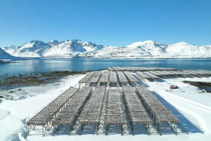 Framed Print : Wood structure for drying cod near to Ramberg beach, Ramberg, Lofoten island, Norway Framed Print : Wood structure for drying cod near to Ramberg beach, Ramberg, Lofoten island, Norway