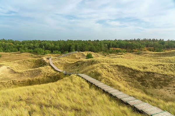 Wooden boardwalk among grass covered sand dune landscape near Norddorf, UNESCO, Amrum island, Nordfriesland, Schleswig-Holstein, Germany