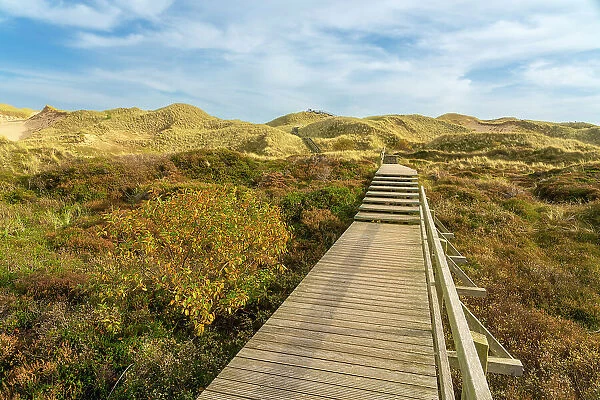 Wooden boardwalk among grass covered sand dune landscape near Norddorf, UNESCO, Amrum island, Nordfriesland, Schleswig-Holstein, Germany