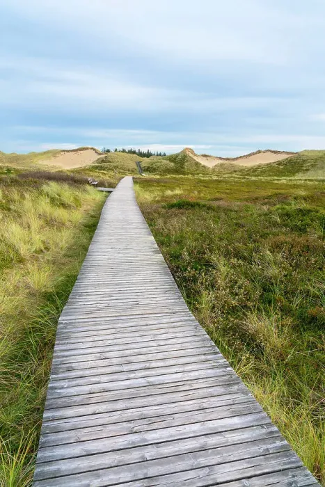 Framed Print : Wooden boardwalk among grass covered sand dune landscape near Norddorf, UNESCO, Amrum island, Nordfriesland, Schleswig-Holstein, Germany Framed Print : Wooden boardwalk among grass covered sand dune landscape near Norddorf, UNESCO, Amrum island, Nordfriesland, Schleswig-Holstein, Germany