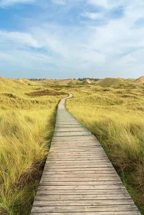 Framed Print : Wooden boardwalk among grass covered sand dune landscape near Norddorf, UNESCO, Amrum island, Nordfriesland, Schleswig-Holstein, Germany Framed Print : Wooden boardwalk among grass covered sand dune landscape near Norddorf, UNESCO, Amrum island, Nordfriesland, Schleswig-Holstein, Germany