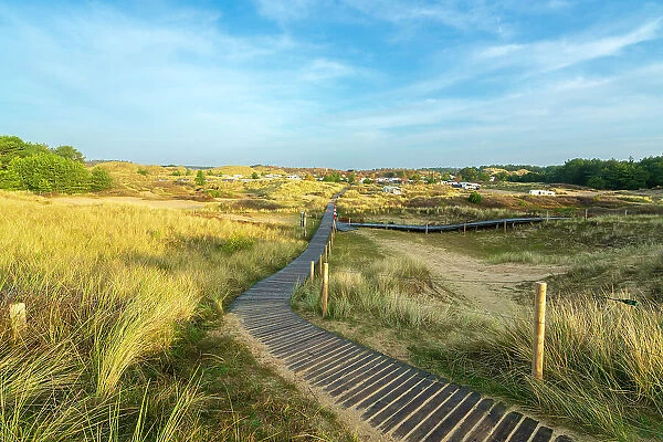 Wooden boardwalk leading to Amrum Campground, Wittdun, UNESCO, Amrum island, Nordfriesland, Schleswig-Holstein, Germany