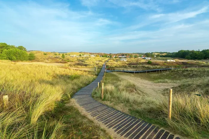 Framed Print : Wooden boardwalk leading to Amrum Campground, Wittdun, UNESCO, Amrum island, Nordfriesland, Schleswig-Holstein, Germany Framed Print : Wooden boardwalk leading to Amrum Campground, Wittdun, UNESCO, Amrum island, Nordfriesland, Schleswig-Holstein, Germany
