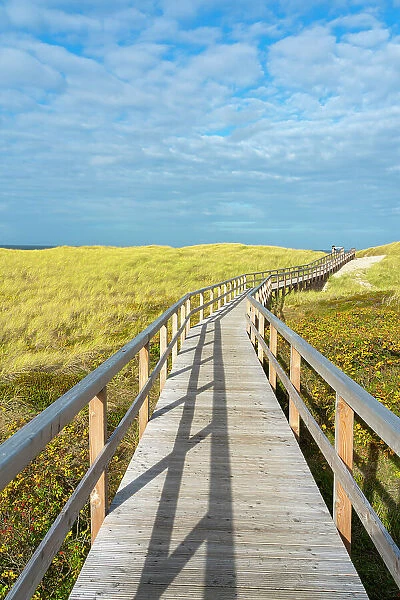 Wooden boardwalk leading to Kampen beach, Kampen, Sylt, Nordfriesland, Schleswig-Holstein, Germany