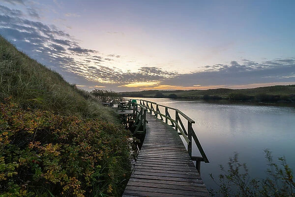 Wooden boardwalk leading by Nehrungsee lake at dawn, Wittdun, UNESCO, Amrum island, Nordfriesland, Schleswig-Holstein, Germany