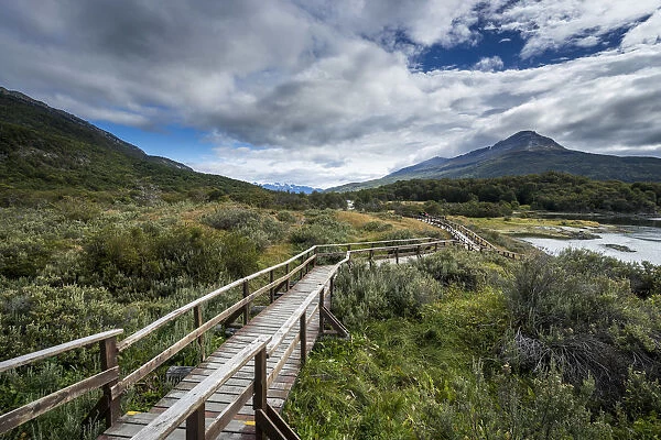 Wooden boardwalk over plants near Bahia Lapataia, Tierra del Fuego National Park