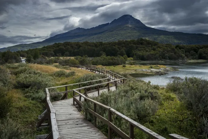 Framed Print : Wooden boardwalk over plants near Bahia Lapataia, Tierra del Fuego National Park Framed Print : Wooden boardwalk over plants near Bahia Lapataia, Tierra del Fuego National Park