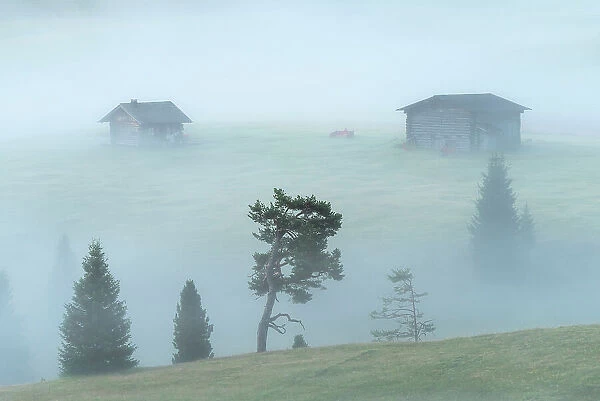 Two wooden cabins appearing from the thick morning fog at the Alpe di Siusi. Dolomites, Italy