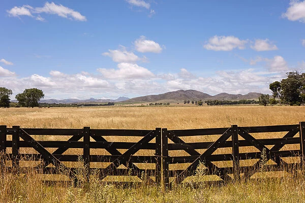 A wooden gate to a field of an estancia in Sierra de la Ventana, Argentina