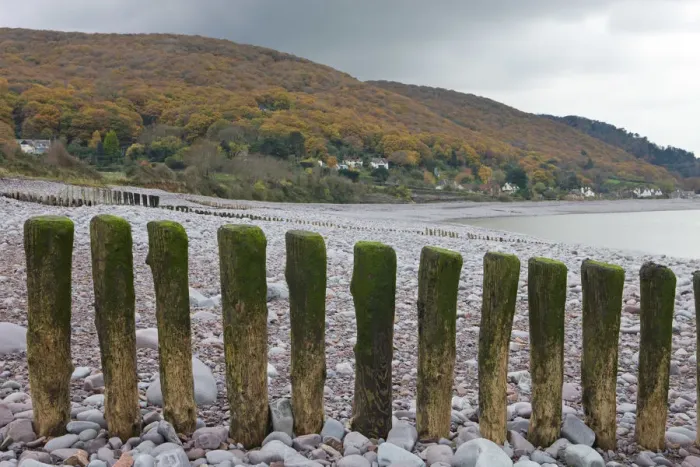 Framed Print : Wooden groynes on Porlock Beach, looking towards Worthy Wood above Porlock Weir, Exmoor Framed Print : Wooden groynes on Porlock Beach, looking towards Worthy Wood above Porlock Weir, Exmoor