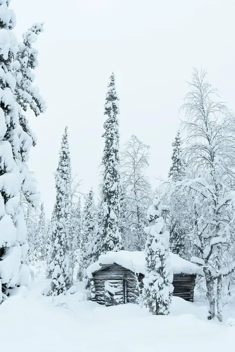 Framed Print : Wooden hut covered with snow in the snowy forest at Pallas-Yllastunturi National Park, Akaslompolo, Muonio, Lapland, Finland Framed Print : Wooden hut covered with snow in the snowy forest at Pallas-Yllastunturi National Park, Akaslompolo, Muonio, Lapland, Finland