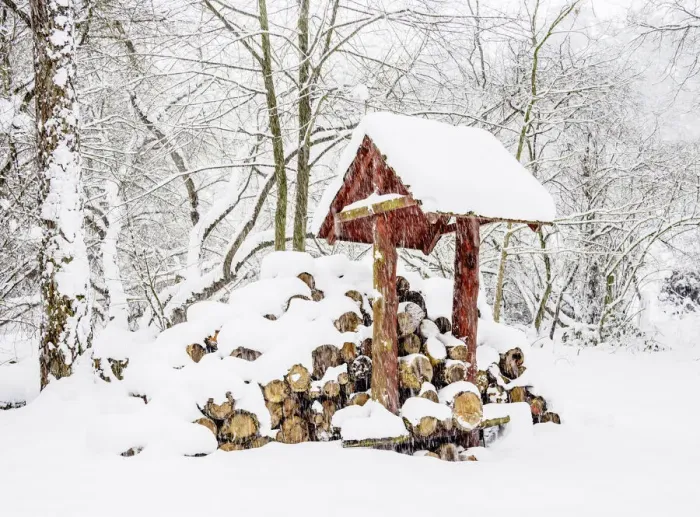 Framed Print : Wooden logs in the forest by the Zemborzycki Lake at snowstorm, Lublin Framed Print : Wooden logs in the forest by the Zemborzycki Lake at snowstorm, Lublin