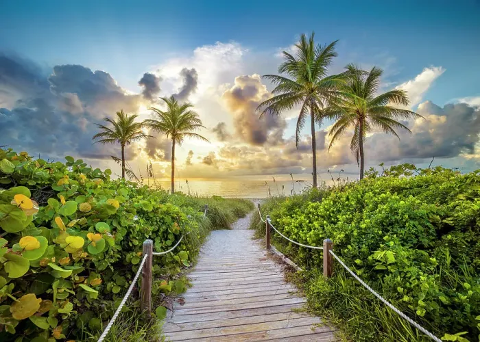 Framed Print : Wooden Path to the Beach surrounded by palm trees, Hollywood Beach, Hollywood, Miami Beach Florida, USA Framed Print : Wooden Path to the Beach surrounded by palm trees, Hollywood Beach, Hollywood, Miami Beach Florida, USA
