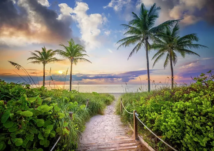 Framed Print : Wooden Path to the Beach surrounded by tropical palm trees, at sunrise Hollywood Beach Hollywood, Miami Beach Florida, USA Framed Print : Wooden Path to the Beach surrounded by tropical palm trees, at sunrise Hollywood Beach Hollywood, Miami Beach Florida, USA