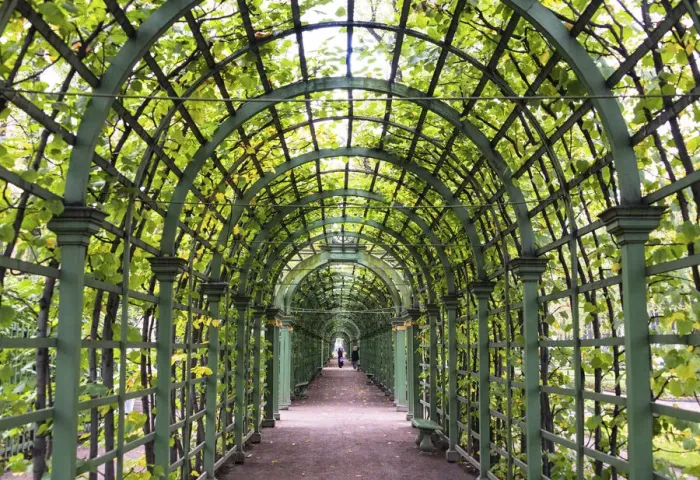 Framed Print : A wooden pergola of the Summer Garden (Letniy sad), Saint Petersburg, Russia Framed Print : A wooden pergola of the Summer Garden (Letniy sad), Saint Petersburg, Russia