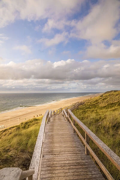 Wooden plank path on the cliff near Wenningstedt, Sylt, Schleswig-Holstein, Germany