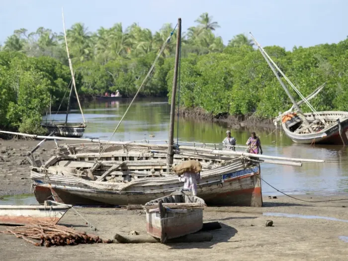 Framed Print : Wooden sailing boats anchor at the end of the mangrove-lined Framed Print : Wooden sailing boats anchor at the end of the mangrove-lined