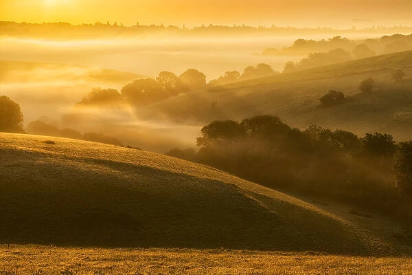 Woodley Down, Wiltshire, England